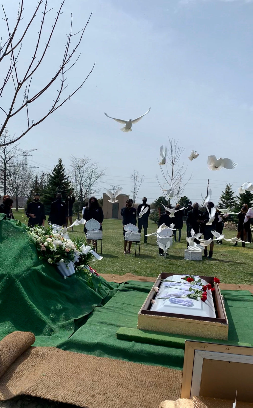 White doves taking flight during a memorial release